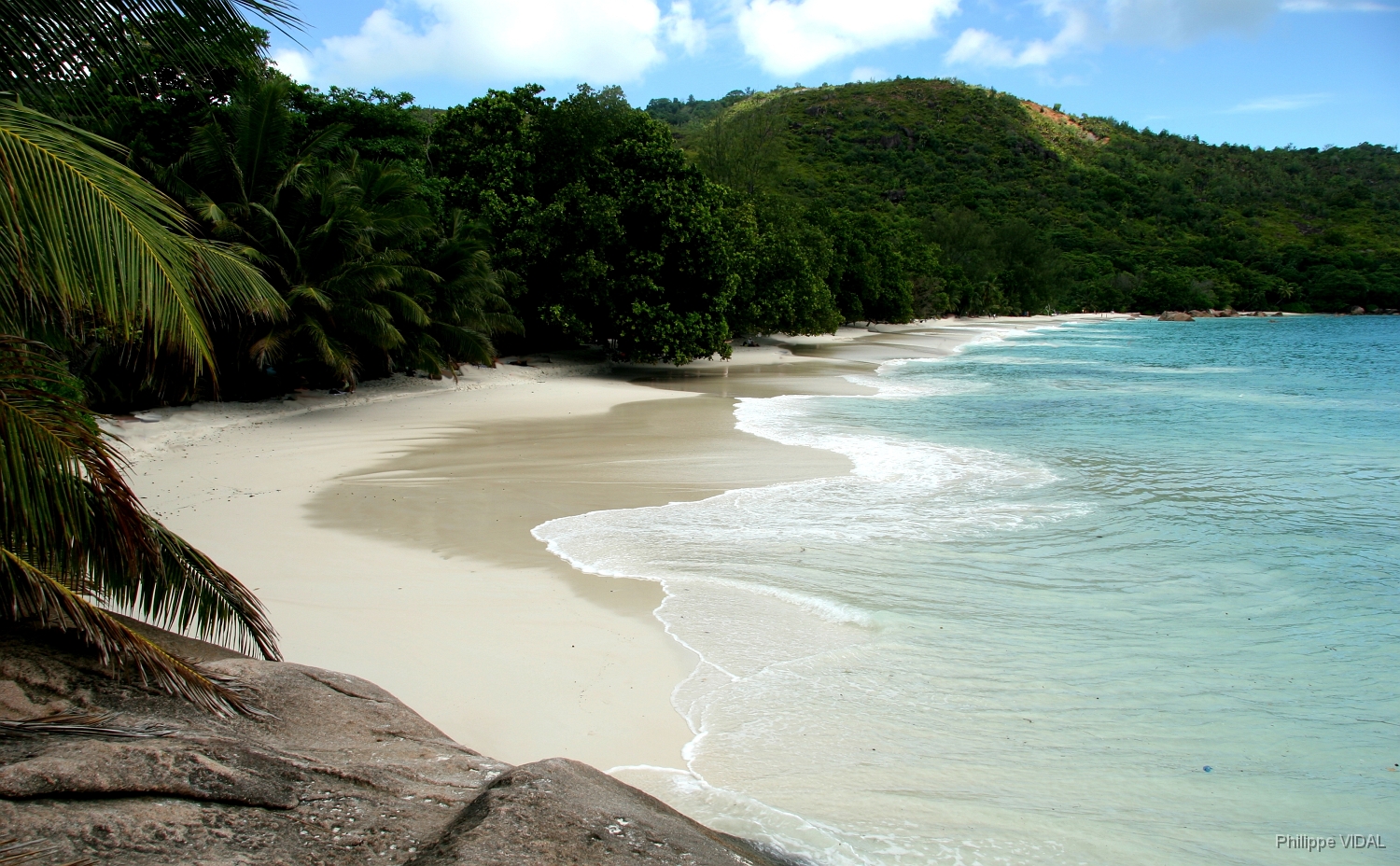 IMG_2062_rf_PRASLIN_ANSE LAZIO.jpg